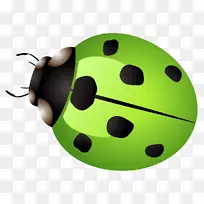 瓢虫汽车图标-绿瓢虫-空若网 瓢虫汽车图标-绿瓢虫-空若网