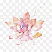 Ë®²Ê»»¨¼ÐÒÕÊõË®²Ê»Èâ-¿ÕÈôÍø Ë®²Ê»»¨¼ÐÒÕÊõË®²Ê»Èâ-¿ÕÈôÍø