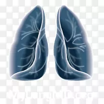 �������-������