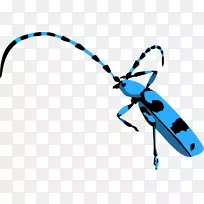 昆虫技术剪贴画.昆虫-空若网 昆虫技术剪贴画.昆虫-空若网