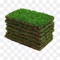 ���Ʋݲ���ƽ�׼۸�����-������