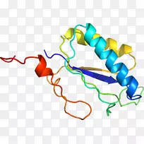 �ߵ������������-������