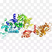 树食线剪贴画-树-空若网 树食线剪贴画-树-空若网