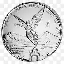 ����-������