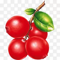 浆果馅果脯-红色蓝莓-空若网 浆果馅果脯-红色蓝莓-空若网