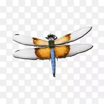 ���ط�װ��PostScript������-Libelula-������