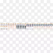 ������-�Ա������-������