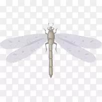 ����������������-��ɫ���ѷ���-������