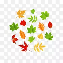 叶图-空若网 叶图-空若网