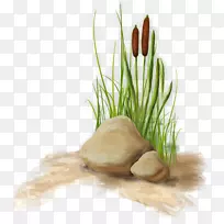 ��������?ycy scipus����-�������������-������