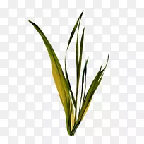 ����Ӱ�����ؼ�����-???-������