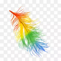 羽毛彩虹颜色数据压缩.羽毛-空若网 羽毛彩虹颜色数据压缩.羽毛-空若网
