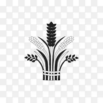 小麦插画-空若网 小麦插画-空若网