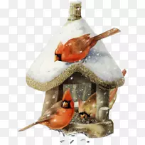 老鼠鸟水彩画艺术-空若网 老鼠鸟水彩画艺术-空若网