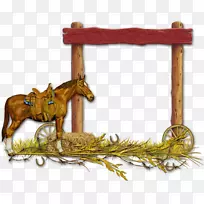 马牛仔博客相框-马-空若网 马牛仔博客相框-马-空若网
