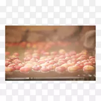 ����-��ɭ-������