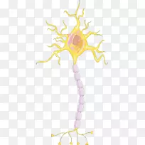 剪贴画设计-空若网 剪贴画设计-空若网