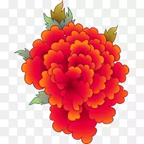 ��������л�����������-������