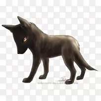 猫狗繁殖鼻子猫-空若网 猫狗繁殖鼻子猫-空若网