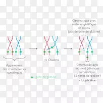 图解设计-空若网 图解设计-空若网