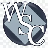 商务顾问管理咨询案例研究-空若网 商务顾问管理咨询案例研究-空若网