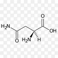 膳食补充剂谷氨酰胺分子肌酸-空若网 膳食补充剂谷氨酰胺分子肌酸-空若网