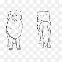 犬种鼻子线艺术素描-狗-空若网 犬种鼻子线艺术素描-狗-空若网