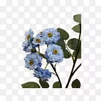 花卉设计切花玫瑰家庭-玫瑰-空若网 花卉设计切花玫瑰家庭-玫瑰-空若网