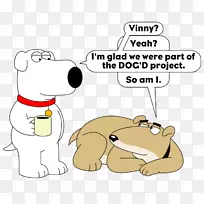 狗熊,猫,犬科,鼻子,狗-空若网 狗熊,猫,犬科,鼻子,狗-空若网