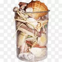 贝壳类软体动物壳双瓣夹艺术瓶海螺扇贝-空若网 贝壳类软体动物壳双瓣夹艺术瓶海螺扇贝-空若网