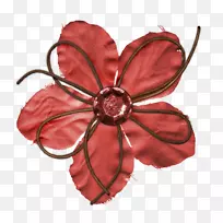 我的糖果爱下载android 0-独角兽花-空若网 我的糖果爱下载android 0-独角兽花-空若网