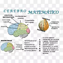 数学AGY数学逻辑人脑-数学-空若网 数学AGY数学逻辑人脑-数学-空若网