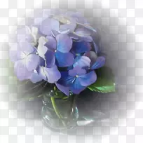 油画艺术水彩画花画-空若网 油画艺术水彩画花画-空若网