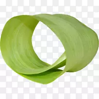 叶车水彩画.绿色卷曲叶-空若网 叶车水彩画.绿色卷曲叶-空若网