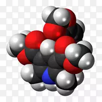 Ê¥µ®×°ÊÎÆ·-Ê¥µ®½Ú-¿ÕÈôÍø Ê¥µ®×°ÊÎÆ·-Ê¥µ®½Ú-¿ÕÈôÍø