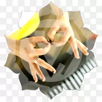 手指设计-空若网 手指设计-空若网