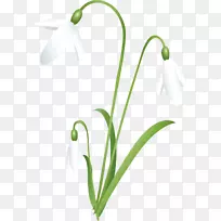 ѩ���л�����ѩ��-ѩ��-������