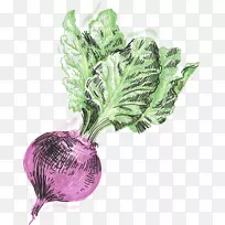 叶菜啤酒餐厅-啤酒-空若网 叶菜啤酒餐厅-啤酒-空若网