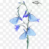 昆虫动物蝴蝶和飞蛾紫罗兰剪贴画.昆虫-空若网 昆虫动物蝴蝶和飞蛾紫罗兰剪贴画.昆虫-空若网