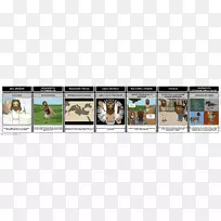 赫拉克勒斯,尼美亚,奥德修斯,赫拉克勒斯英雄-空若网 赫拉克勒斯,尼美亚,奥德修斯,赫拉克勒斯英雄-空若网