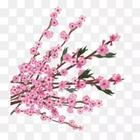 ӣ��-ӣ��-������