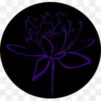 ����ֲ��-��������-������