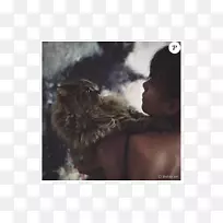 犬种犬科鼻子宠物犬-空若网 犬种犬科鼻子宠物犬-空若网