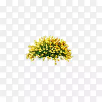 花束-空若网 花束-空若网