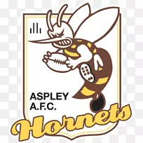 东北澳大利亚足球联盟阿斯普利足球俱乐部阿斯普利大黄蜂足球俱乐部堪培拉足球俱乐部-黄蜂队-空若网 东北澳大利亚足球联盟阿斯普利足球俱乐部阿斯普利大黄蜂足球俱乐部堪培拉足球俱乐部-黄蜂队-空若网