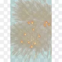 天空电脑壁纸-烟花-空若网 天空电脑壁纸-烟花-空若网