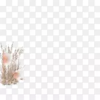 �ݽ��׼�ͥ-��-������