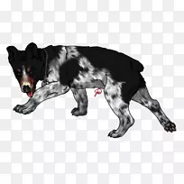 养狗鼻子-冰岛牧羊犬-空若网 养狗鼻子-冰岛牧羊犬-空若网