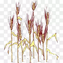 草载体水稻-空若网 草载体水稻-空若网