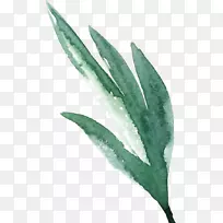 水彩画水彩:水彩复古绿叶-空若网 水彩画水彩:水彩复古绿叶-空若网